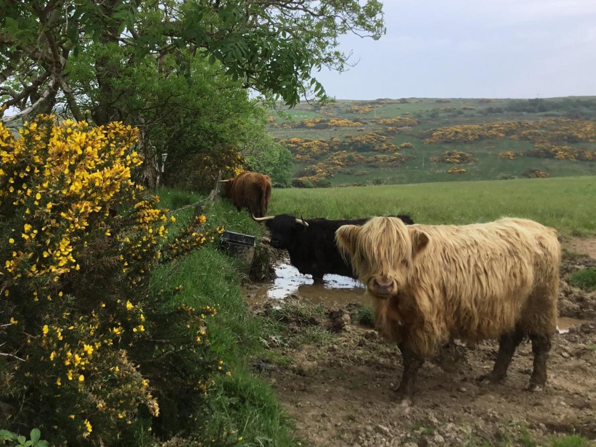 Chapelhill Hideaway Isle Of Bute Licence Ar00654F Apartment Rothesay Ngoại thất bức ảnh